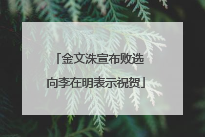 金文洙宣布败选 向李在明表示祝贺