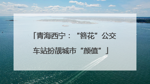 青海西宁：“簪花”公交车站扮靓城市“颜值”