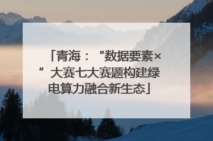 青海：“数据要素×”大赛七大赛题构建绿电算力融合新生态