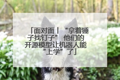 面对面丨“拿着锤子找钉子” 他们的开源模型让机器人能“上学”了