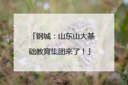钢城：山东山大基础教育集团来了！