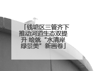 钱塘区三管齐下推动河道生态双提升 绘就“水清岸绿景美”新画卷
