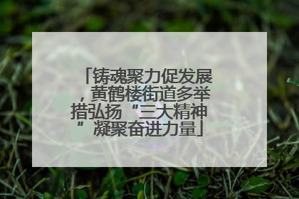 铸魂聚力促发展，黄鹤楼街道多举措弘扬“三大精神”凝聚奋进力量