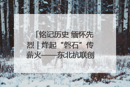 铭记历史 缅怀先烈｜烽起“磐石”传薪火——东北抗联创建地的振兴新篇