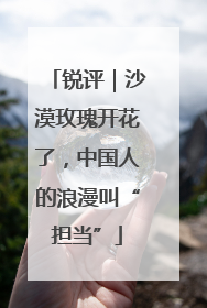 锐评｜沙漠玫瑰开花了，中国人的浪漫叫“担当”