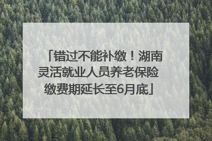 错过不能补缴！湖南灵活就业人员养老保险缴费期延长至6月底