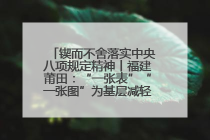 锲而不舍落实中央八项规定精神丨福建莆田：“一张表”“一张图”为基层减轻“数字负担”