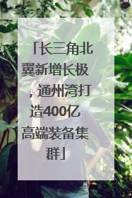 长三角北翼新增长极，通州湾打造400亿高端装备集群