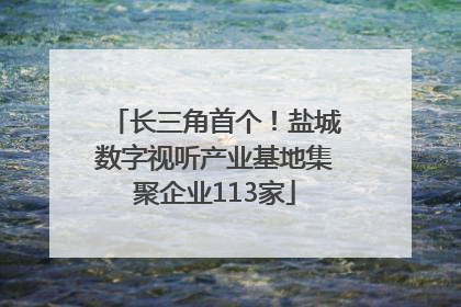 长三角首个！盐城数字视听产业基地集聚企业113家