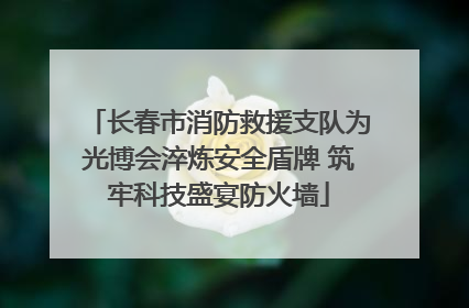 长春市消防救援支队为光博会淬炼安全盾牌 筑牢科技盛宴防火墙