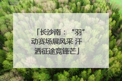 长沙南：“羽”动赛场展风采 汗洒征途竞锋芒