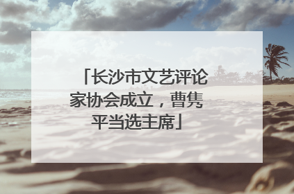 长沙市文艺评论家协会成立，曹隽平当选主席