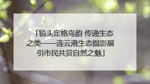 镜头定格鸟韵 传递生态之美——连云港生态摄影展引市民共赏自然之魅