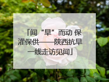 闻“旱”而动 保灌保供——陕西抗旱一线走访见闻