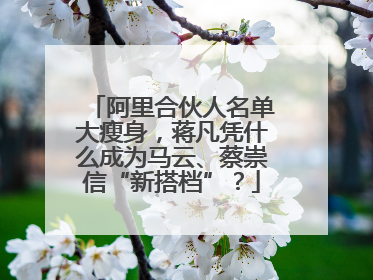 阿里合伙人名单大瘦身，蒋凡凭什么成为马云、蔡崇信“新搭档”？