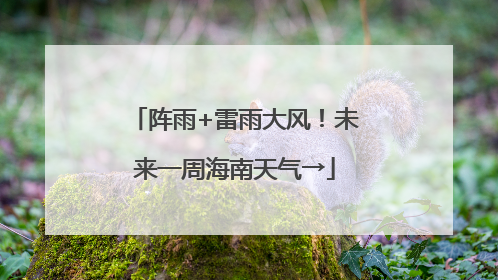 阵雨+雷雨大风！未来一周海南天气→