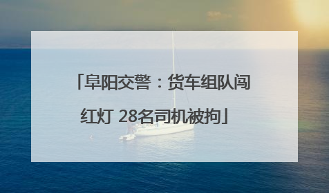 阜阳交警：货车组队闯红灯 28名司机被拘