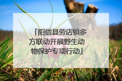 阳信县劳店镇多方联动开展野生动物保护专项行动