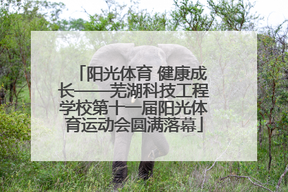 阳光体育 健康成长——芜湖科技工程学校第十一届阳光体育运动会圆满落幕