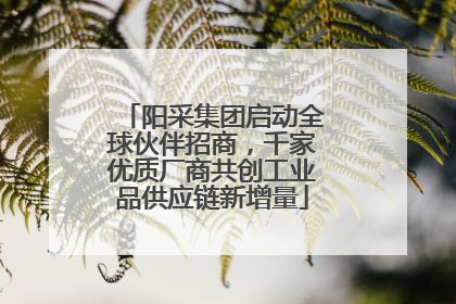 阳采集团启动全球伙伴招商，千家优质厂商共创工业品供应链新增量