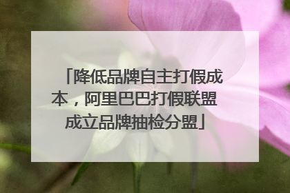降低品牌自主打假成本，阿里巴巴打假联盟成立品牌抽检分盟
