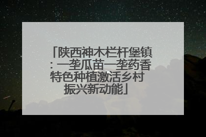 陕西神木栏杆堡镇：一垄瓜苗一垄药香 特色种植激活乡村振兴新动能