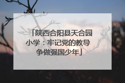 陕西合阳县天合园小学：牢记党的教导 争做强国少年