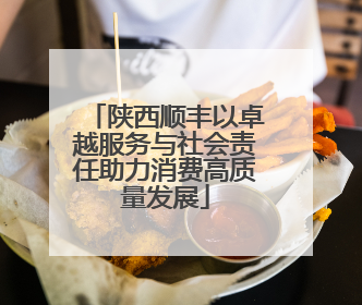 陕西顺丰以卓越服务与社会责任助力消费高质量发展