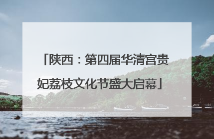 陕西：第四届华清宫贵妃荔枝文化节盛大启幕