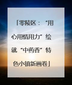 零陵区：“用心用情用力”绘就“中药香”特色小镇新画卷
