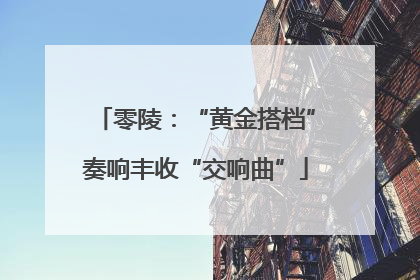 零陵：“黄金搭档”奏响丰收“交响曲”