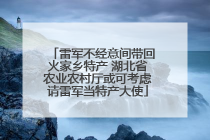 雷军不经意间带回火家乡特产 湖北省农业农村厅或可考虑请雷军当特产大使