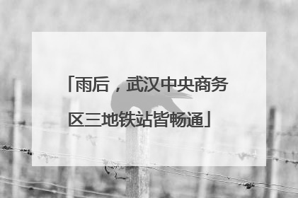 雨后，武汉中央商务区三地铁站皆畅通