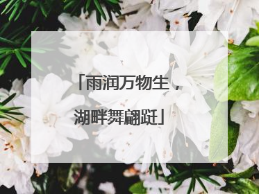 雨润万物生，湖畔舞翩跹