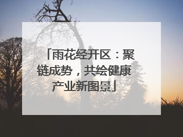 雨花经开区：聚链成势，共绘健康产业新图景
