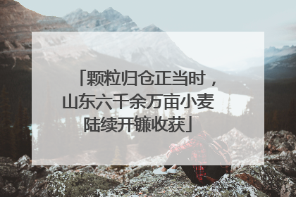 颗粒归仓正当时，山东六千余万亩小麦陆续开镰收获