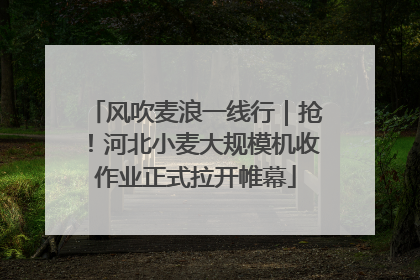 风吹麦浪一线行｜抢！河北小麦大规模机收作业正式拉开帷幕