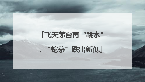 飞天茅台再“跳水”，“蛇茅”跌出新低