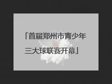 首届郑州市青少年三大球联赛开幕