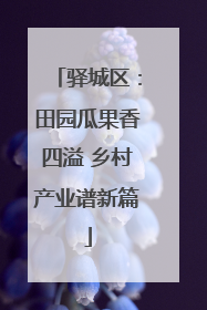 驿城区：田园瓜果香四溢 乡村产业谱新篇