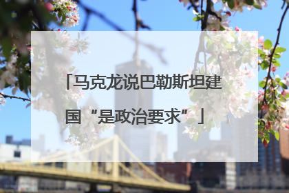 马克龙说巴勒斯坦建国“是政治要求”