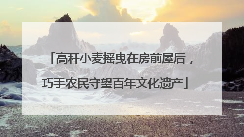 高秆小麦摇曳在房前屋后，巧手农民守望百年文化遗产
