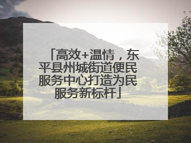 高效+温情，东平县州城街道便民服务中心打造为民服务新标杆