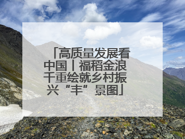 高质量发展看中国丨福稻金浪千重绘就乡村振兴“丰”景图