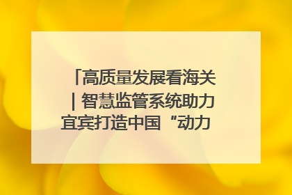 高质量发展看海关｜智慧监管系统助力宜宾打造中国“动力电池之都”