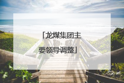 龙煤集团主要领导调整
