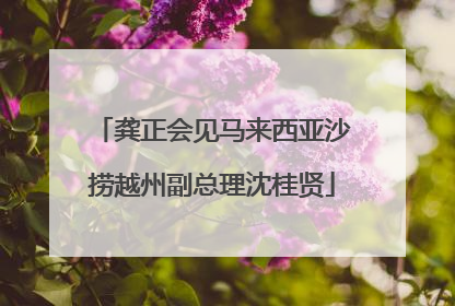 龚正会见马来西亚沙捞越州副总理沈桂贤