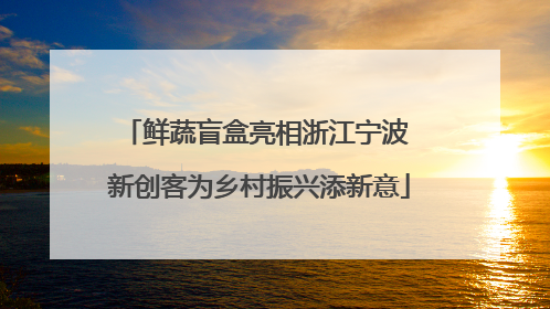 鲜蔬盲盒亮相浙江宁波 新创客为乡村振兴添新意