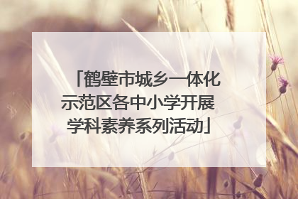 鹤壁市城乡一体化示范区各中小学开展学科素养系列活动