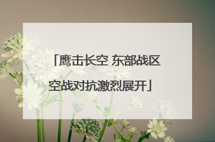 鹰击长空 东部战区空战对抗激烈展开